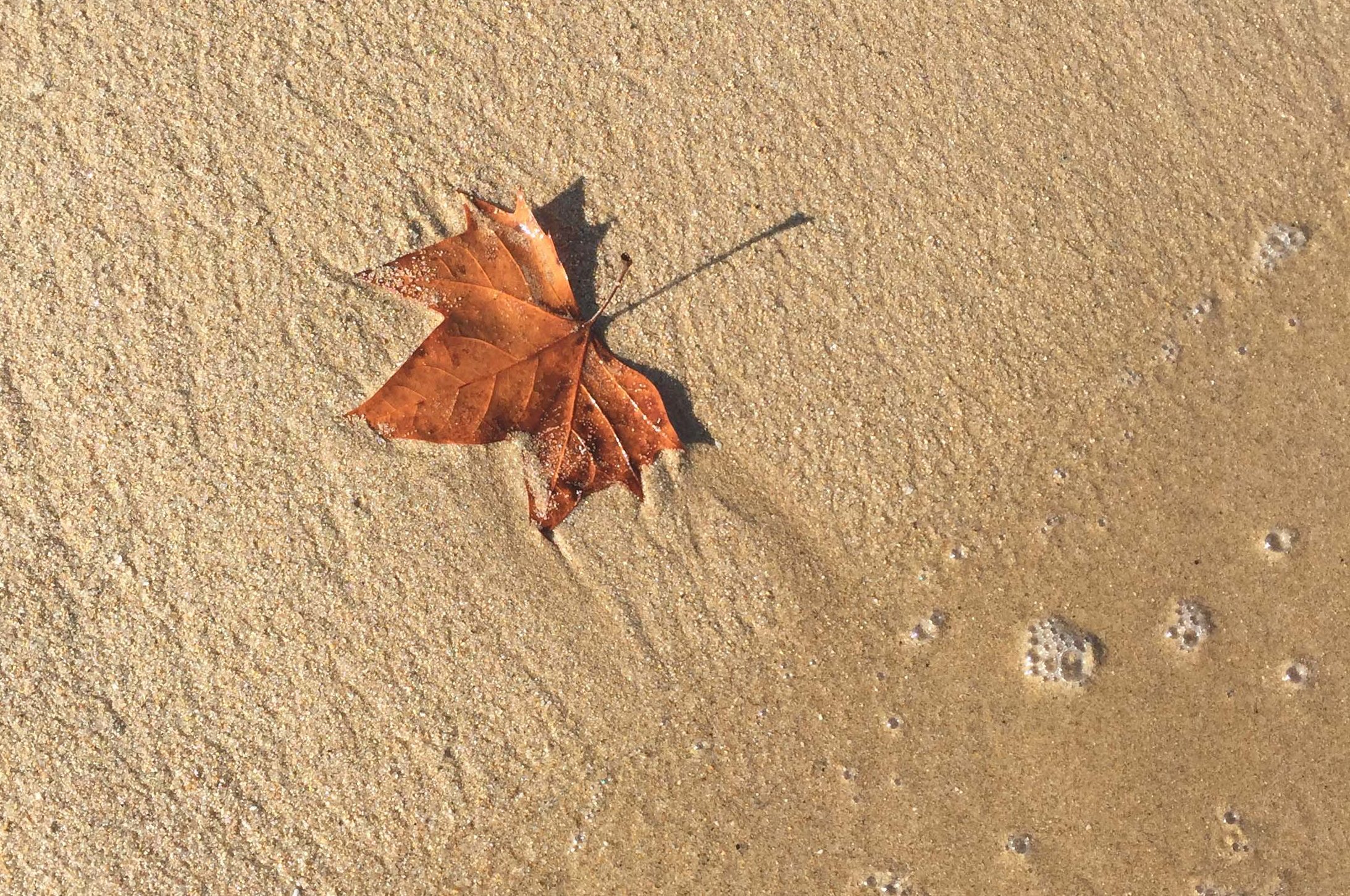 Prexmedia. Fotografia profesional. Creativa y miscelánea. Lugares, miradas, géneros / Professional photography. Creative and miscellaneous. Places, looks, genres.