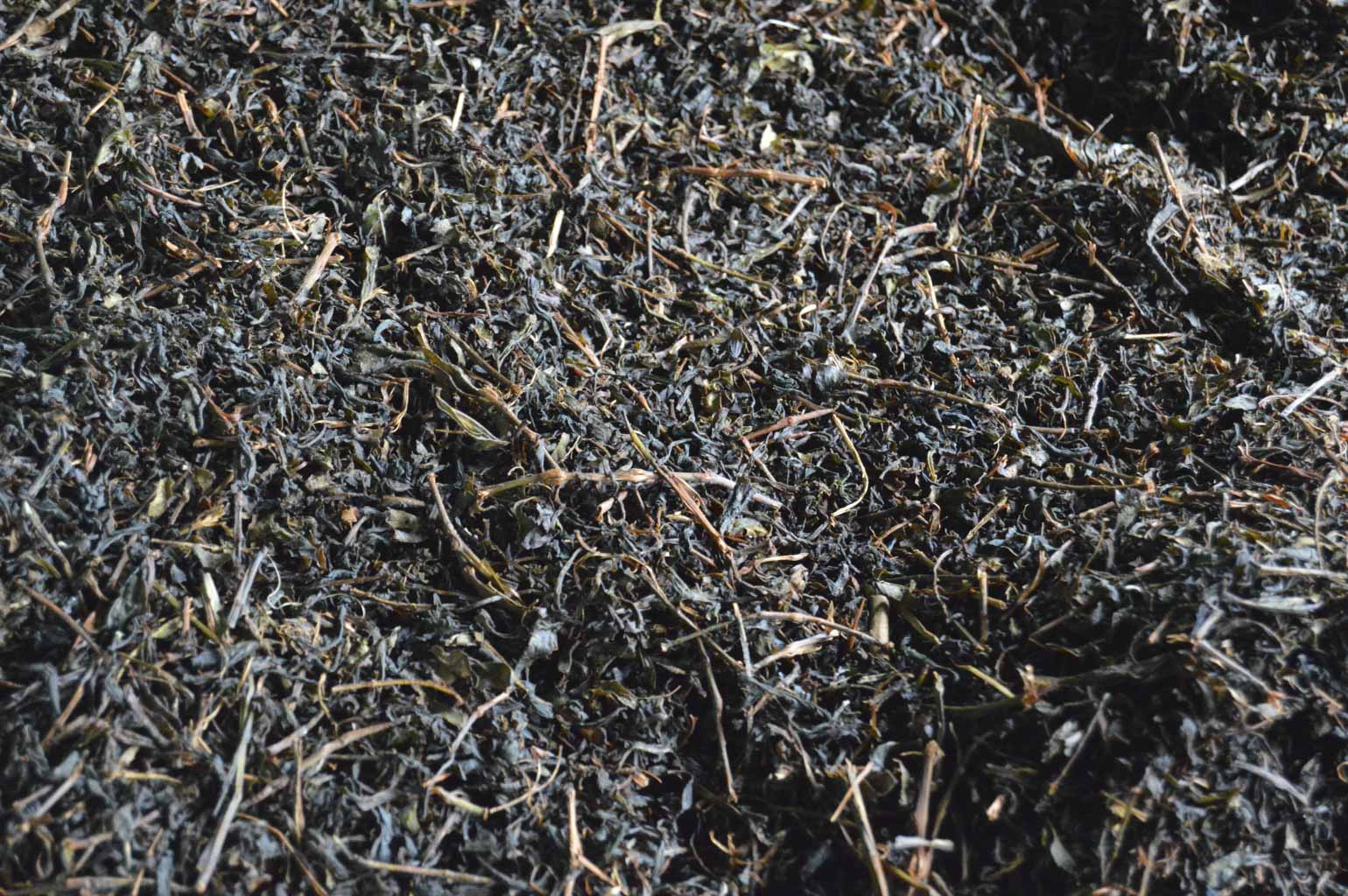 Prexmedia. Fotografia profesional. Creativa y miscelánea. Lugares, miradas, géneros / Professional photography. Creative and miscellaneous. Places, looks, genres.