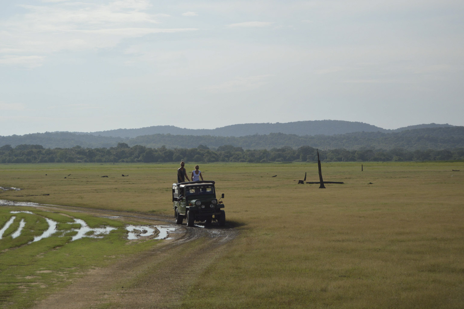 Prexmedia. Fotografia profesional. Mundo, viajes, aventuras, cultura, arte. Safaris Sri Lanka /Professional photography. World, travel, adventure, culture, art. Safaris Sri Lanka
