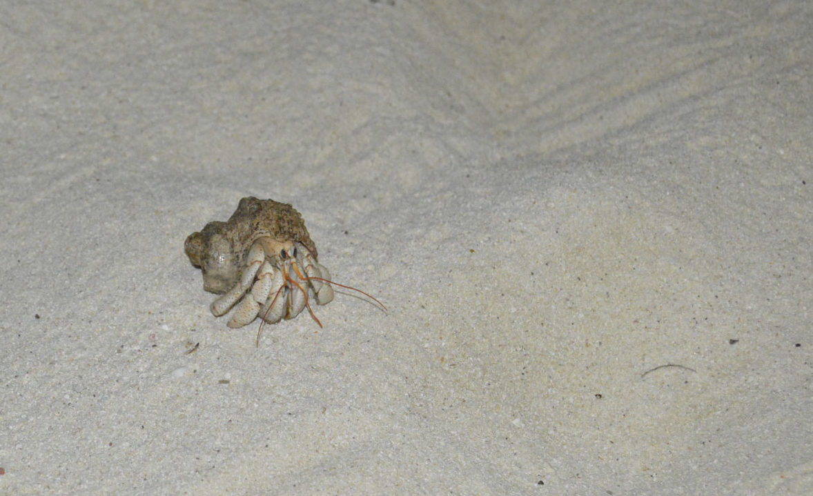 Prexmedia. Fotografia profesional. Creativa y miscelánea. Lugares, miradas, géneros / Professional photography. Creative and miscellaneous. Places, looks, genres.